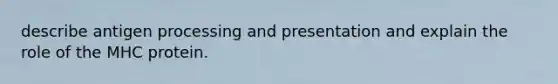 describe antigen processing and presentation and explain the role of the MHC protein.