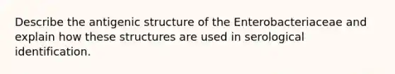 Describe the antigenic structure of the Enterobacteriaceae and explain how these structures are used in serological identification.