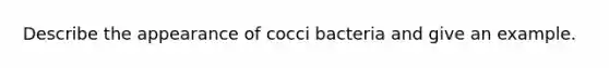 Describe the appearance of cocci bacteria and give an example.