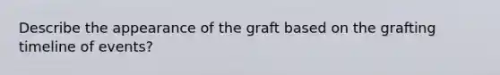 Describe the appearance of the graft based on the grafting timeline of events?