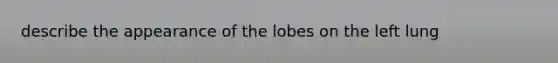 describe the appearance of the lobes on the left lung