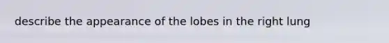 describe the appearance of the lobes in the right lung