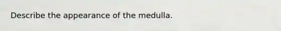 Describe the appearance of the medulla.