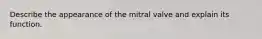 Describe the appearance of the mitral valve and explain its function.