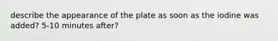 describe the appearance of the plate as soon as the iodine was added? 5-10 minutes after?