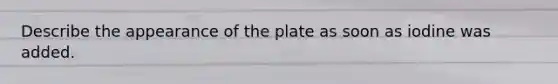 Describe the appearance of the plate as soon as iodine was added.