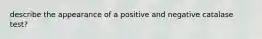 describe the appearance of a positive and negative catalase test?