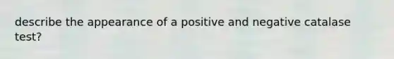 describe the appearance of a positive and negative catalase test?