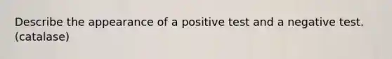 Describe the appearance of a positive test and a negative test. (catalase)