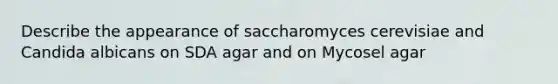 Describe the appearance of saccharomyces cerevisiae and Candida albicans on SDA agar and on Mycosel agar