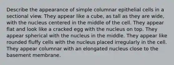 Describe the appearance of simple columnar epithelial cells in a sectional view. They appear like a cube, as tall as they are wide, with the nucleus centered in the middle of the cell. They appear flat and look like a cracked egg with the nucleus on top. They appear spherical with the nucleus in the middle. They appear like rounded fluffy cells with the nucleus placed irregularly in the cell. They appear columnar with an elongated nucleus close to the basement membrane.