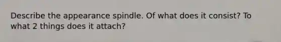 Describe the appearance spindle. Of what does it consist? To what 2 things does it attach?