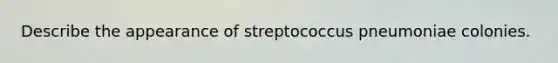 Describe the appearance of streptococcus pneumoniae colonies.