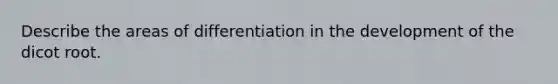 Describe the areas of differentiation in the development of the dicot root.