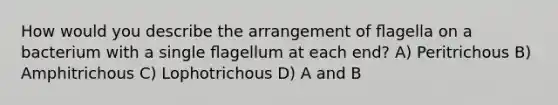 How would you describe the arrangement of ﬂagella on a bacterium with a single ﬂagellum at each end? A) Peritrichous B) Amphitrichous C) Lophotrichous D) A and B