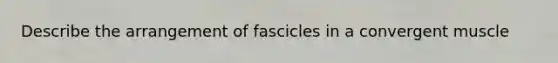 Describe the arrangement of fascicles in a convergent muscle