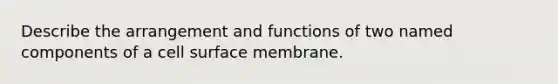 Describe the arrangement and functions of two named components of a cell surface membrane.