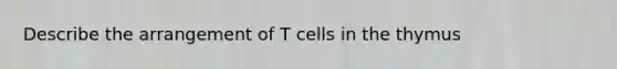 Describe the arrangement of T cells in the thymus