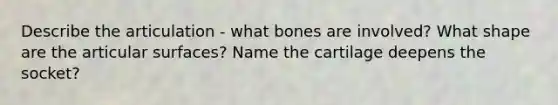 Describe the articulation - what bones are involved? What shape are the articular surfaces? Name the cartilage deepens the socket?