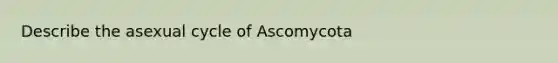 Describe the asexual cycle of Ascomycota