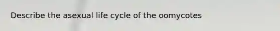 Describe the asexual life cycle of the oomycotes