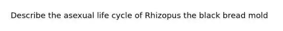 Describe the asexual life cycle of Rhizopus the black bread mold