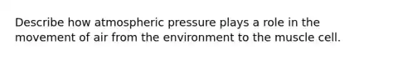 Describe how atmospheric pressure plays a role in the movement of air from the environment to the muscle cell.