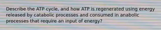 Describe the ATP cycle, and how ATP is regenerated using energy released by catabolic processes and consumed in anabolic processes that require an input of energy?