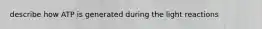 describe how ATP is generated during the light reactions