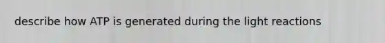 describe how ATP is generated during the light reactions