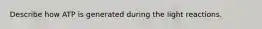 Describe how ATP is generated during the light reactions.