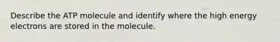 Describe the ATP molecule and identify where the high energy electrons are stored in the molecule.