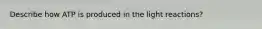 Describe how ATP is produced in the light reactions?