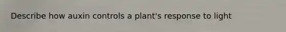 Describe how auxin controls a plant's response to light