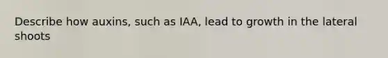 Describe how auxins, such as IAA, lead to growth in the lateral shoots