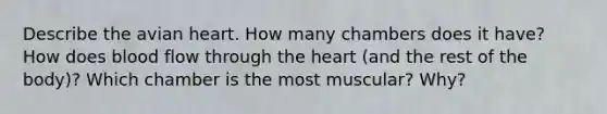 Describe the avian heart. How many chambers does it have? How does blood flow through the heart (and the rest of the body)? Which chamber is the most muscular? Why?