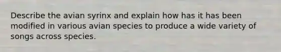 Describe the avian syrinx and explain how has it has been modified in various avian species to produce a wide variety of songs across species.