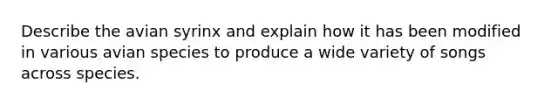 Describe the avian syrinx and explain how it has been modified in various avian species to produce a wide variety of songs across species.