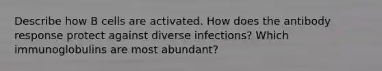 Describe how B cells are activated. How does the antibody response protect against diverse infections? Which immunoglobulins are most abundant?