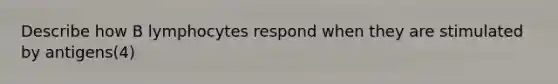 Describe how B lymphocytes respond when they are stimulated by antigens(4)