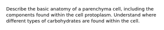 Describe the basic anatomy of a parenchyma cell, including the components found within the cell protoplasm. Understand where different types of carbohydrates are found within the cell.