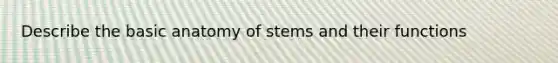 Describe the basic anatomy of stems and their functions