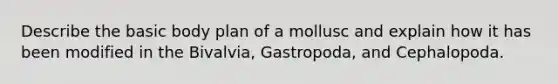 Describe the basic body plan of a mollusc and explain how it has been modified in the Bivalvia, Gastropoda, and Cephalopoda.