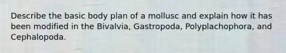 Describe the basic body plan of a mollusc and explain how it has been modified in the Bivalvia, Gastropoda, Polyplachophora, and Cephalopoda.