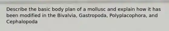 Describe the basic body plan of a mollusc and explain how it has been modified in the Bivalvia, Gastropoda, Polyplacophora, and Cephalopoda