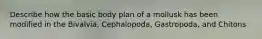 Describe how the basic body plan of a mollusk has been modified in the Bivalvia, Cephalopoda, Gastropoda, and Chitons