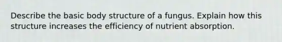 Describe the basic body structure of a fungus. Explain how this structure increases the efficiency of nutrient absorption.