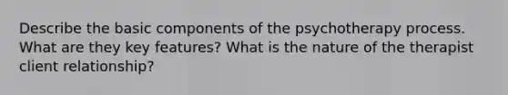 Describe the basic components of the psychotherapy process. What are they key features? What is the nature of the therapist client relationship?