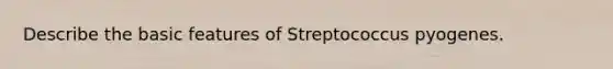 Describe the basic features of Streptococcus pyogenes.