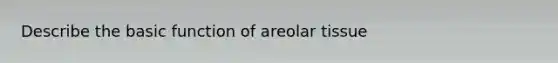 Describe the basic function of areolar tissue